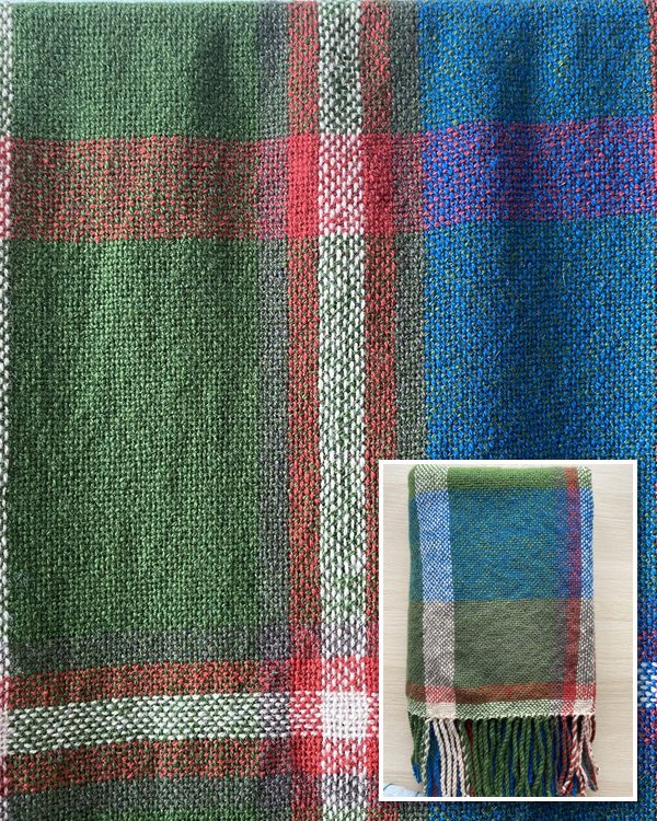 Petrichor — deep forest and cobalt with coral accent