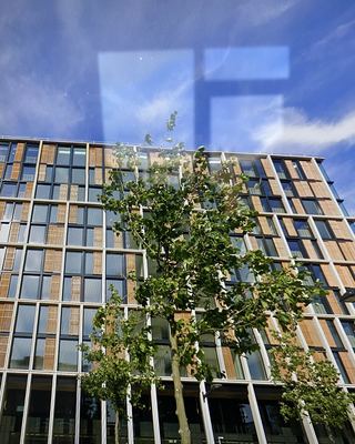 The building that inspired the throw